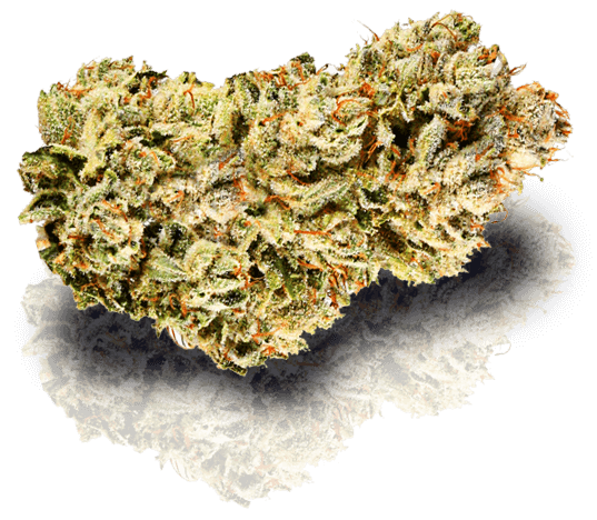 Ostara Cannabis Flower Bud