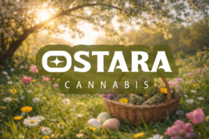 The Meaning of Ostara: Spring, Renewal, and Sun Grown Cannabis