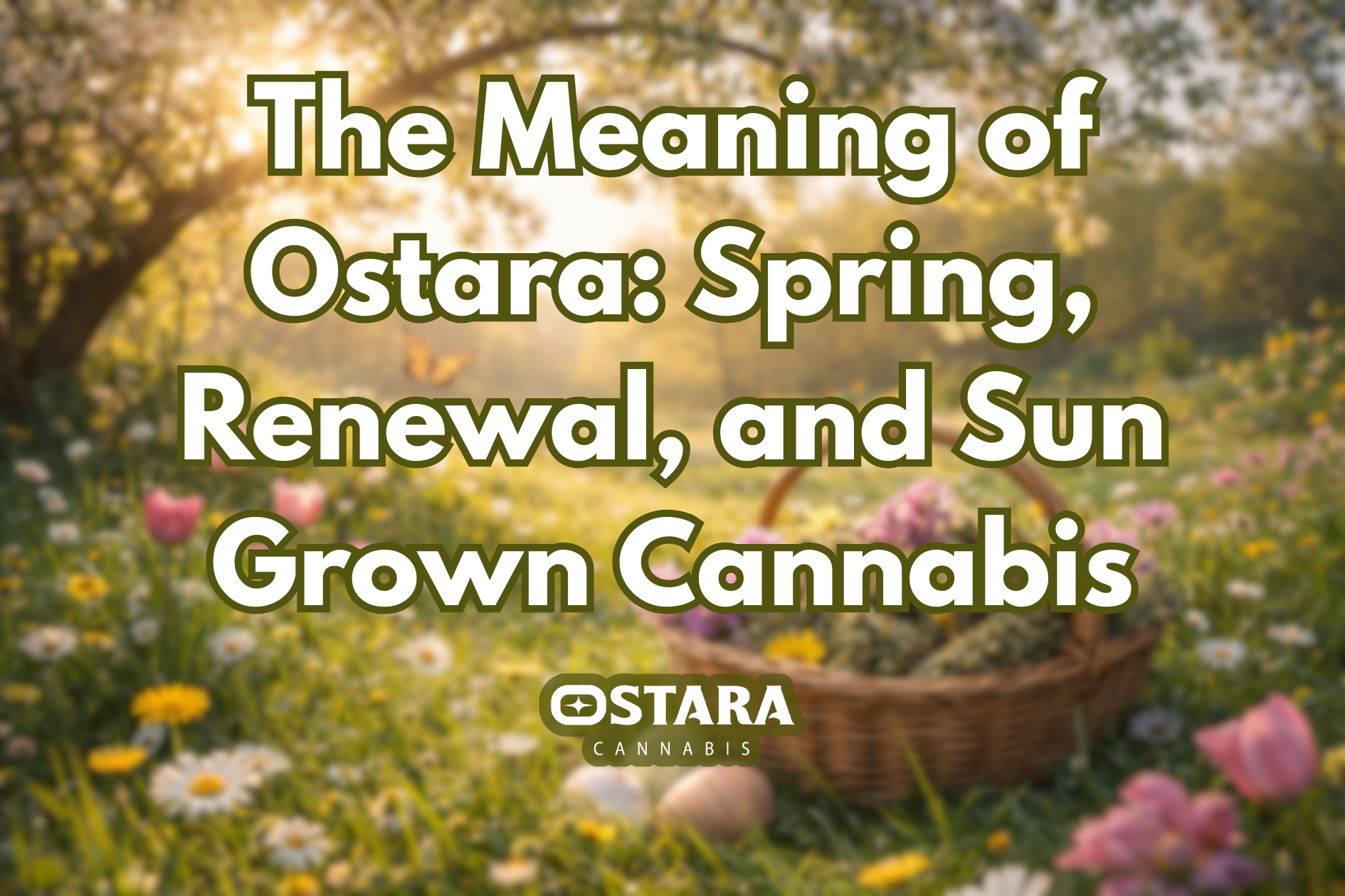 The Meaning of Ostara: Spring, Renewal, and Sun Grown Cannabis