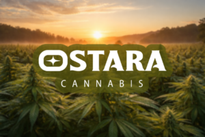 Cannabis for Energy & Focus: Choosing the Right Products for Daytime Use