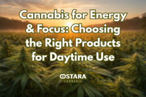 Cannabis for Energy & Focus: Choosing the Right Products for Daytime Use