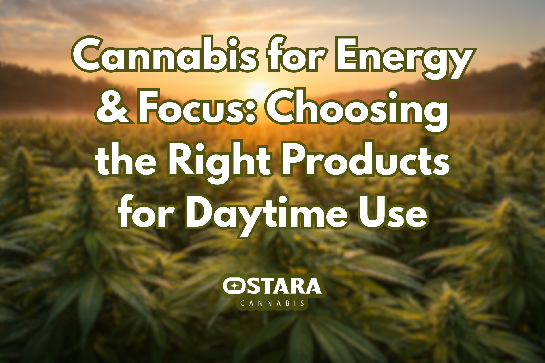 Cannabis for Energy & Focus: Choosing the Right Products for Daytime Use
