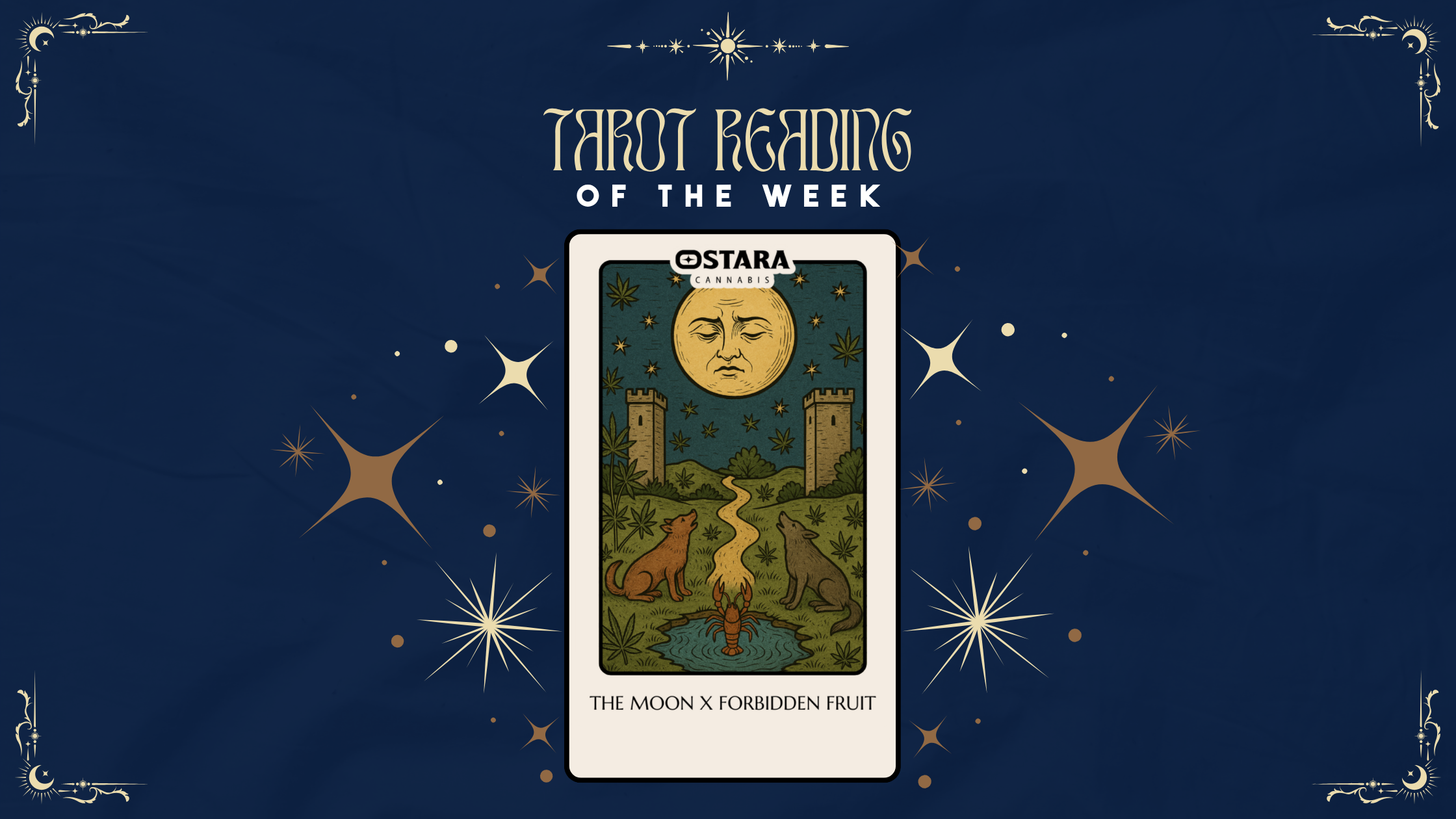 April 20 2026 The Moon Tarot Reading for Ostara Cannabis