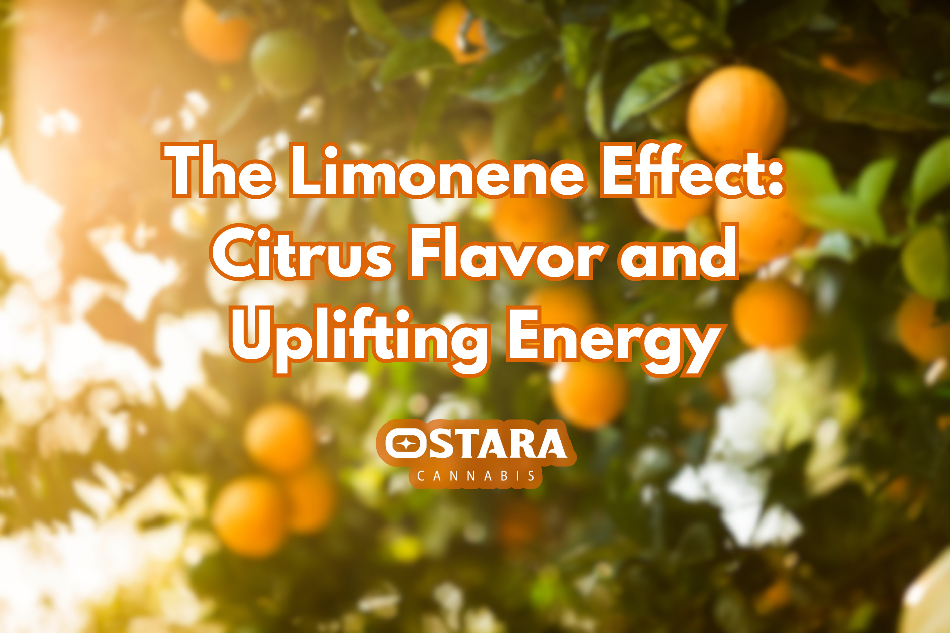 The Limonene Effect: Citrus Flavor and Uplifting Energy