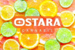 Your Summer, Your Rhythm Cannabis for Long Days and Summer Plans