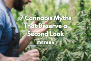 7 Cannabis Myths That Deserve a Second Look