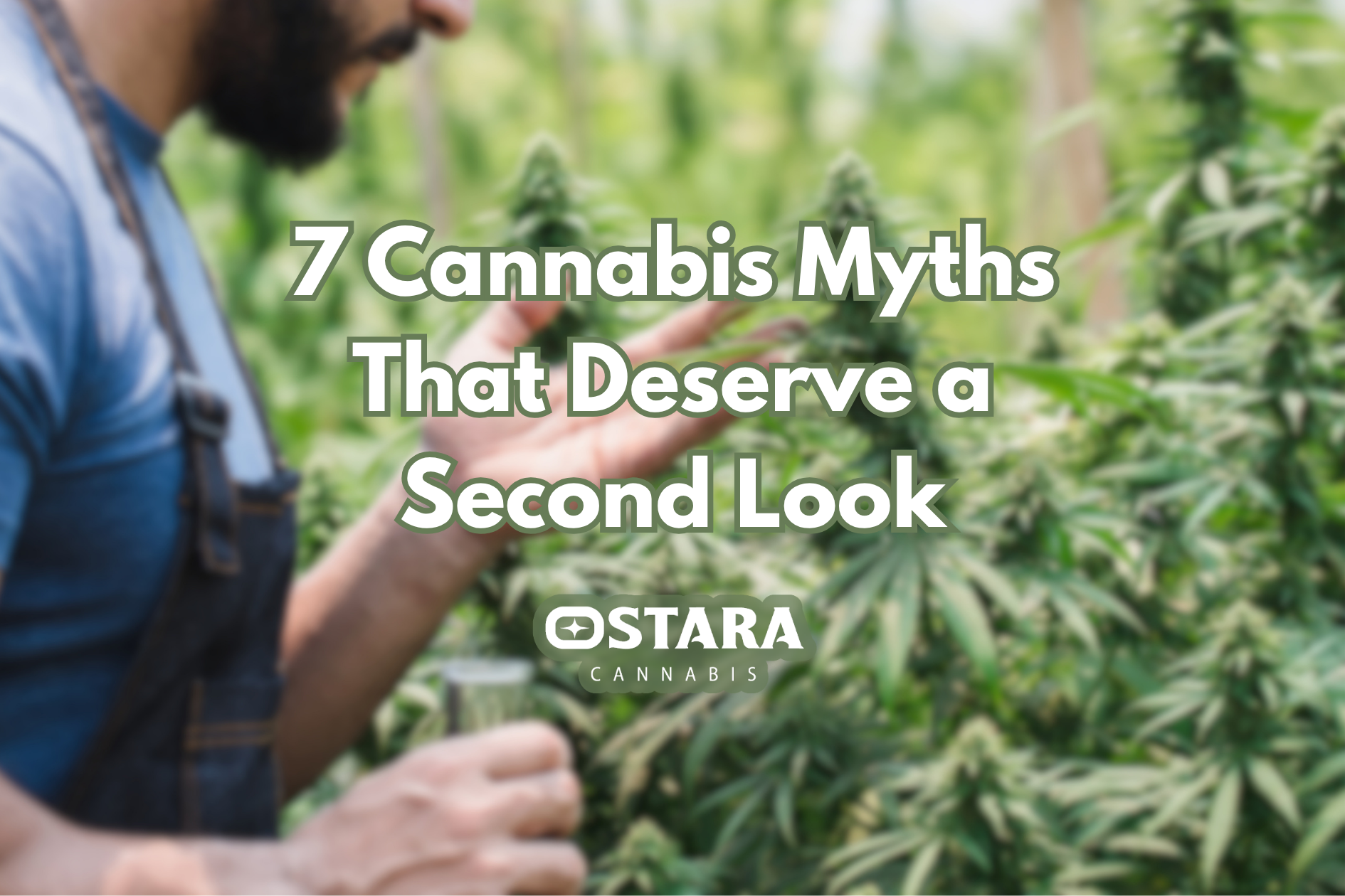 7 Cannabis Myths That Deserve a Second Look