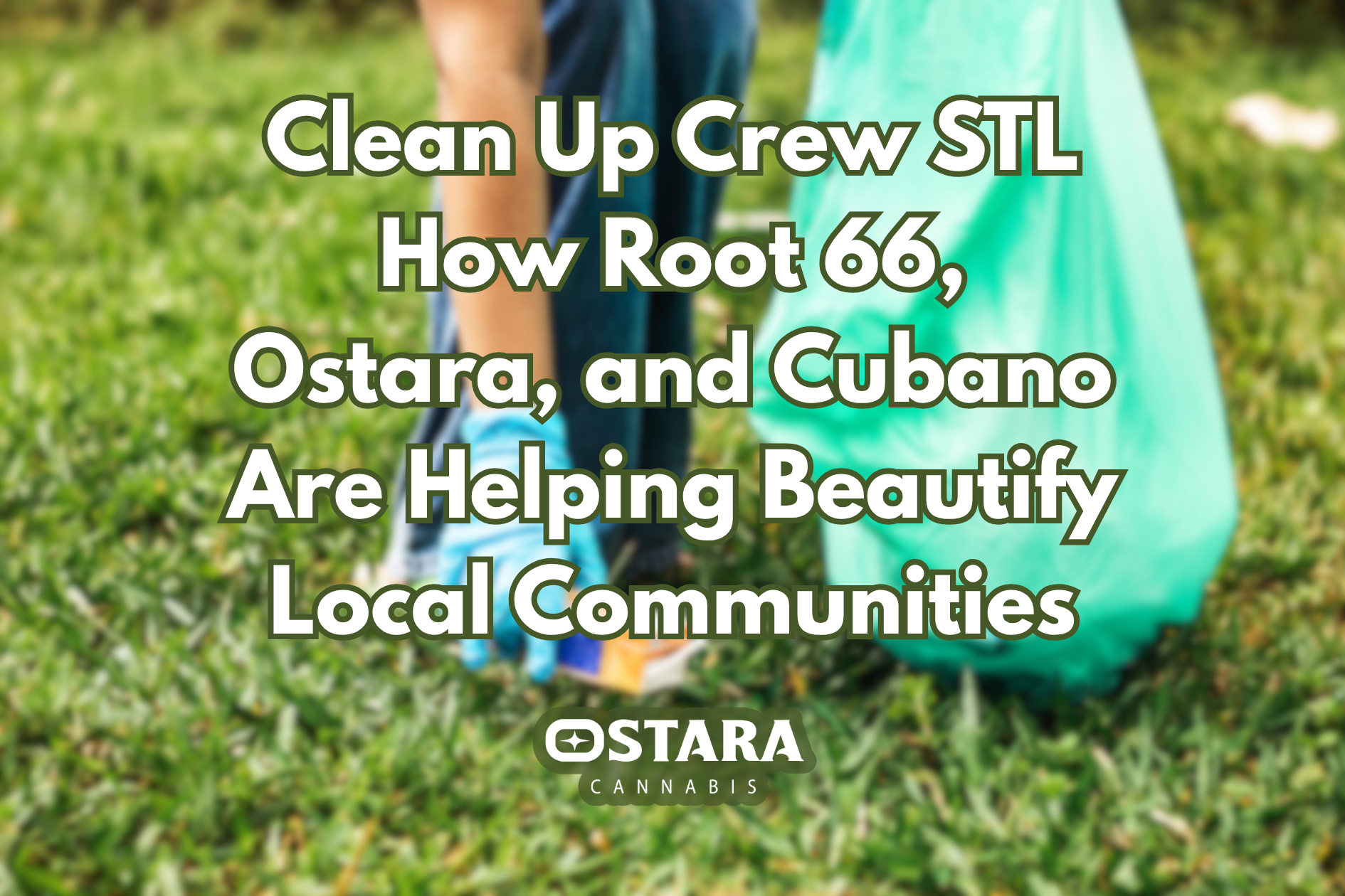 Clean Up Crew STL How Root 66, Ostara, and Cubano Are Helping Beautify Local Communities
